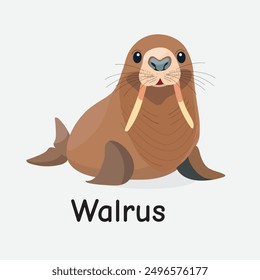Walrus Vector Illustration: Large Marine Mammal