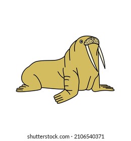 Walrus vector isolated on a white background, flat, cartoon style. For web and children book etc