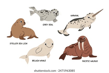 Walrus, White Whale with Narwhal and grey Seal, Beluga, Sea lion Arctic Sea Animals Set. Incredible Marine Life poster for kids. Cute marine mammals.