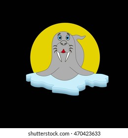 Walrus.Walrus cartoon.Walrus on ice.Walrus Night time. Walrus on the moon light. Walrus Vector. Walrus illustration.