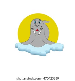 Walrus.Walrus cartoon.Walrus on ice.Walrus Night time. Walrus on the moon light. Walrus Vector. Walrus illustration.