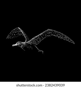 wandering albatross hand drawing vector isolated on black background.