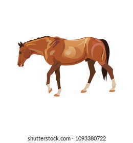 Wandering horse red. Vector illustration isolated on white background