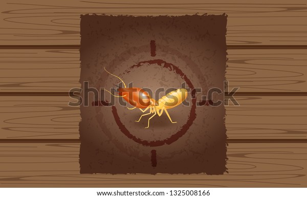 wanted poster of termites on wooden brown wall,\
empty termite ad on wood vintage wall, termite image at wood\
texture for banner advertising retro style, illustration termites\
cartoon (vector)