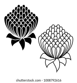 Waratah flower black and white icon set - Waratah is the state floral emblem of New South Wales - Telopea Speciosissima