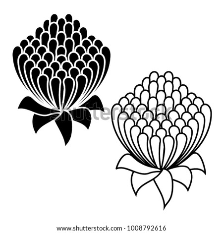 Waratah flower black and white icon set - Waratah is the state floral emblem of New South Wales - Telopea Speciosissima