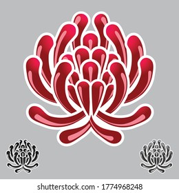 Waratah flower icon on isolated background - Red, Black and Gray version - Waratah is the state floral emblem of New South Wales - Telopea speciosissima