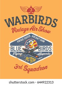 Warbirds aircraft vintage air show, vector print for boy shirt grunge effect in separate layer