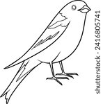 Warbler Line Art for Coloring