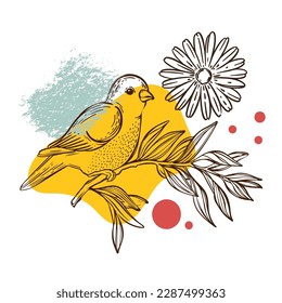 WARBLER ON FLOWER Natural Collage Sketched Bird Poster Design Botanical Illustration Geometric Shapes Abstract Elements For Print Wall Art Packaging Template