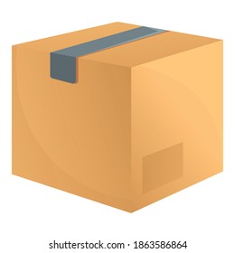 Warehouse parcel icon. Cartoon of warehouse parcel vector icon for web design isolated on white background