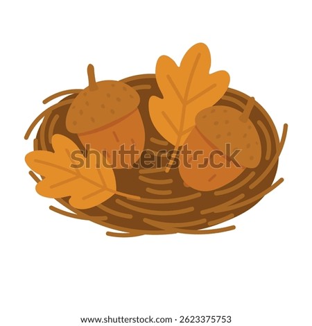 Warm autumn composition with two acorns and leaves in a nest on white background.