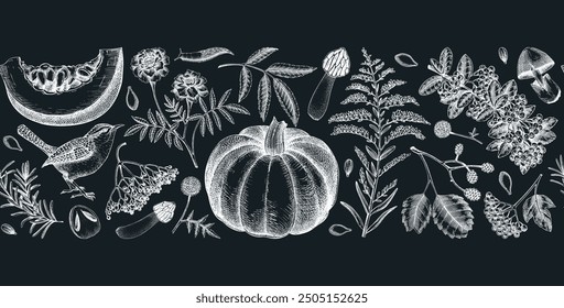 Cálida cinta de otoño en estilo sketch. Hojas de otoño, calabazas, bayas, champiñones Ilustraciones vectoriales dibujadas a mano en la pizarra. Patrón sin fisuras de Acción de Gracias. NO se ha generado IA