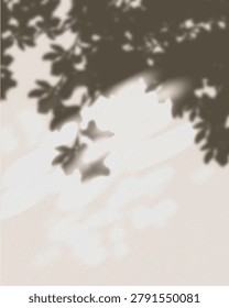 Warm brown shadow of tree leaves overlay on a neutral wall background vector
