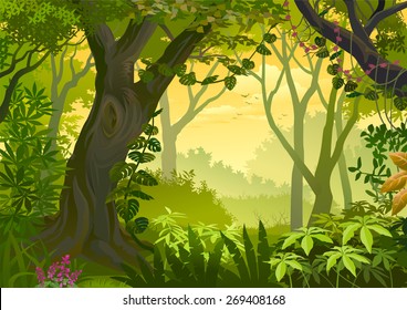 Warm climatic Jungle Illustration