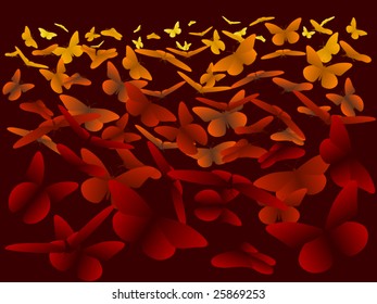 Warm colored gradient composed of vector butterflies