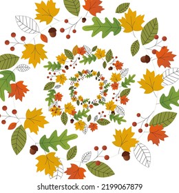 warm and colorful autumn illustrations. leaves and berries, acorns and thin branches