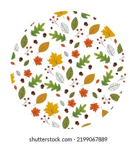 warm and colorful autumn illustrations. leaves and berries, acorns and thin branches