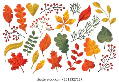 Warm cozy set of fall botanical elements. Collection of autumn design elements with red, yellow, gold oak, maple leaves, spruce branches and mountain ash. Watercolor vector illustration.