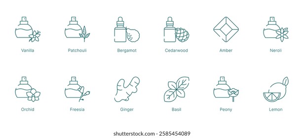 Warm and Floral Fragrance Notes Vector Icon Set