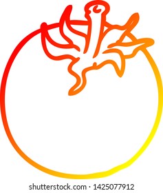 warme Farbverlauf-Zeichnung einer frischen Tomate