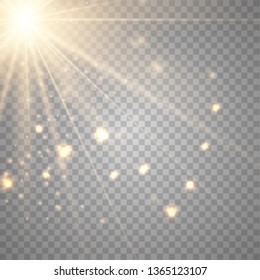 Warm light sunlight. Vector lens flare.