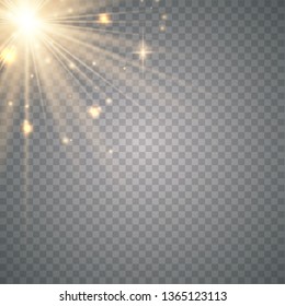 Warm light sunlight. Vector lens flare.