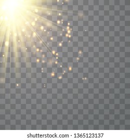 Warm light sunlight. Vector lens flare.