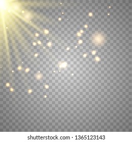 Warm light sunlight. Vector lens flare.