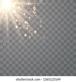 Warm light sunlight. Vector lens flare.