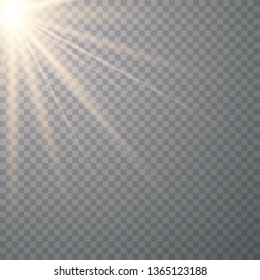 Warm light sunlight. Vector lens flare.