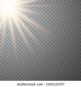 Warm light sunlight. Vector lens flare.