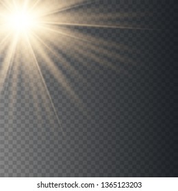 Warm light sunlight. Vector lens flare.
