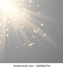 Warm light sunlight. Vector lens flare.