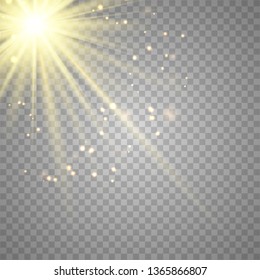 Warm light sunlight. Vector lens flare.