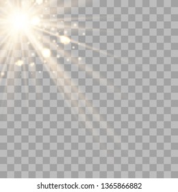 Warm light sunlight. Vector lens flare.