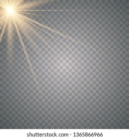 Warm light sunlight. Vector lens flare.