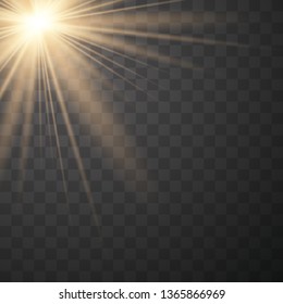 Warm light sunlight. Vector lens flare.