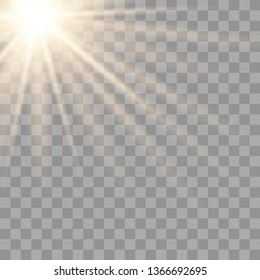 Warm light sunlight. Vector lens flare.