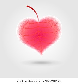 warm organic leaf in shape of heart 
