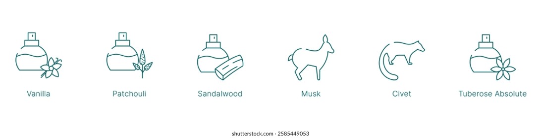 Warm and Sensual Fragrance Notes Vector Icon Set