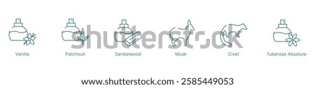Warm and Sensual Fragrance Notes Vector Icon Set