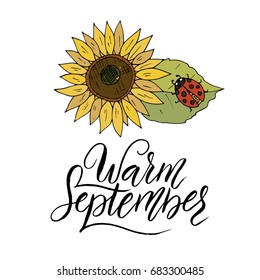 Warm September. Handdrawn unique autumn card with brush lettering quote. Vector doodle illustration.