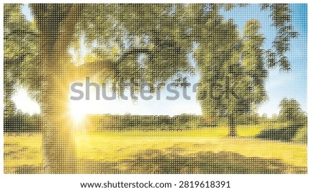 Warm sunlight filtering through branches of old trees in open grassy meadow field idyllic landscape vector illustration for natural summer wallpaper design.