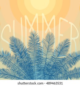 warm tints summer background with high detailed palm leaves and sunlight