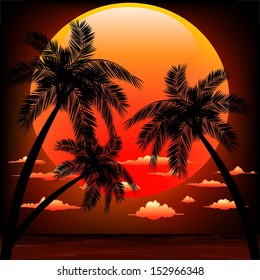 Warm Topical Sunset with Palm Trees