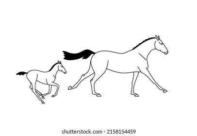 Mare de sangre cálida y galope foal