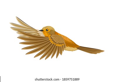 Warmblütige Wirbeltiere oder Aves mit Federn und Zahnlos gebackener Kiew-Vektorgrafik