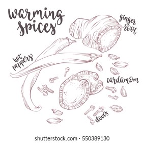 Warming spices. Decorative vector illustration and handwritten brush lettering for your design. Ginger root, hot peppers, cardamom and cloves on white background.