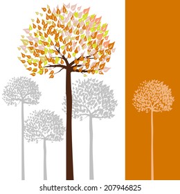 Warmth color tone of tree with orange color band on right